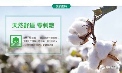 一朵棉花，一個(gè)國牌 醫(yī)用敷料OEM的國民品牌轉(zhuǎn)型與資本之路